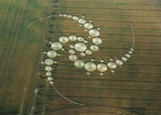 Crop Circles